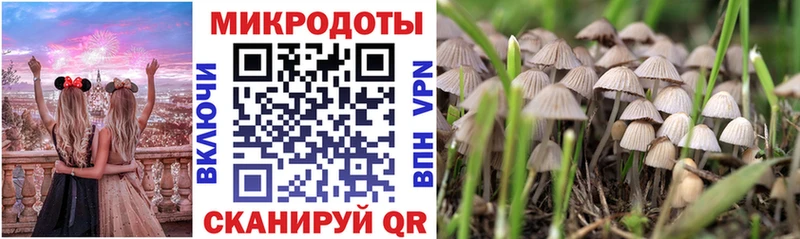 Псилоцибиновые грибы MAGIC MUSHROOMS Пыть-Ях